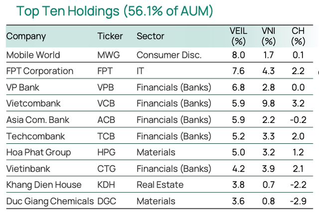 Top 10 khoản đầu tư chiếm tỷ trọng lớn nhất trong danh mục của VEIL tính tới cuối tháng 1/2025