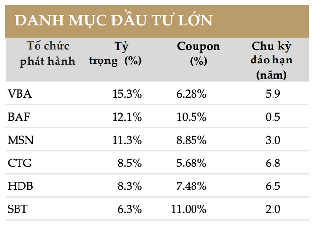 Danh mục đầu tư lớn của LHBF tính tới cuối tháng 1/2025