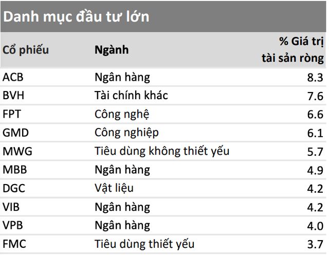 Danh mục đầu tư lớn của VESAF tính tới cuối tháng 2/2025