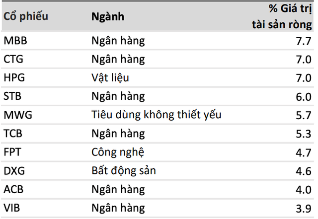 Danh mục đầu tư lớn của VEOF tính tới cuối tháng 5/2025