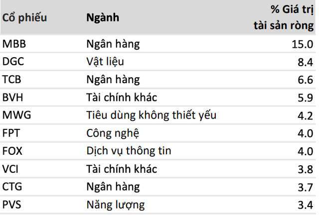 Danh mục đầu tư lớn của VESAF tính tới cuối tháng 5