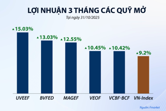 Nhiều quỹ cổ phiếu có hiệu suất tốt hơn so với VN-Index Nhiều quỹ cổ phiếu có hiệu suất tốt hơn so với VN-Index