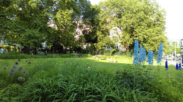 Mùa hè nước Đức ảnh 2