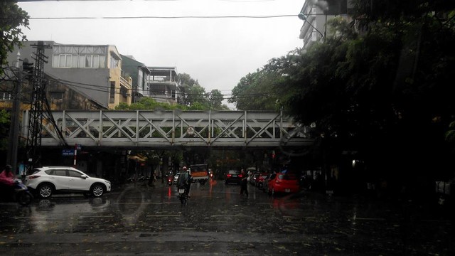 Mưa ngập, cây đổ hàng loạt trên phố Hà Nội ảnh 1