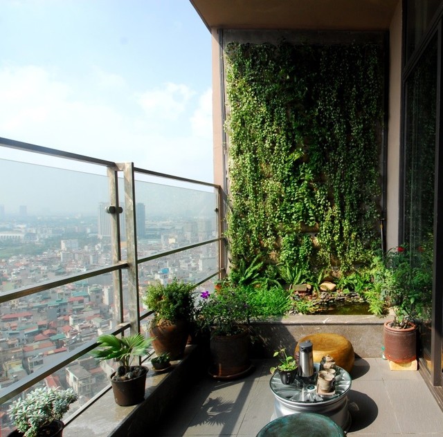 Khám phá những căn hộ xanh hoàn hảo ảnh 3