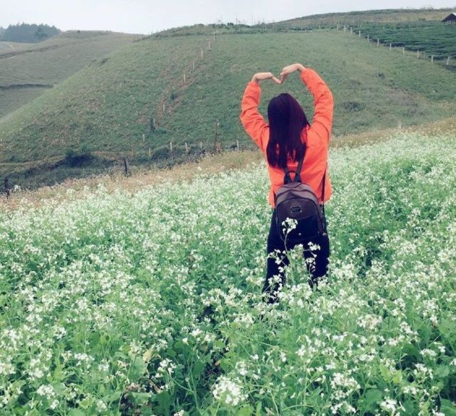 Cuối năm về Mộc Châu ngắm hoa cải nở trắng đồi ảnh 9 Ảnh: katty_gin