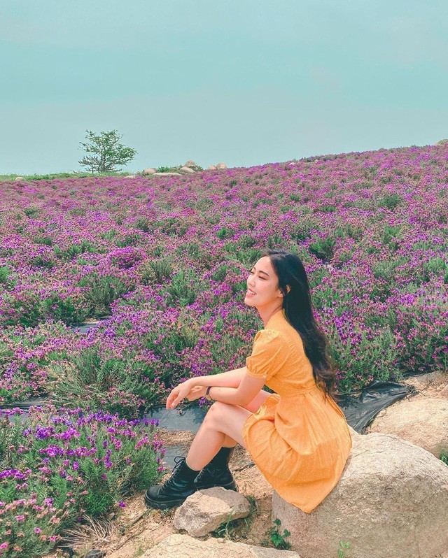 Khám phá hòn đảo “tím lịm tim“ ảnh 7 Khám phá hòn đảo “tím lịm tim“ ảnh 7
