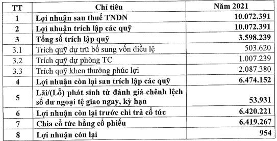 Thông tin về lợi nhuận để lại năm 2021 được sử dụng để tăng vốn điều lệ (Đơn vị: triệu đồng)