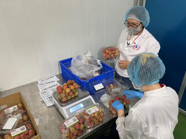 Việc đưa sản phẩm nông sản tươi và các sản phẩm nông sản có tiềm năng của các địa phương lên các sàn Thương mại điện tử là phương thức bán hàng hỗ trợ đầu ra là một trong những phương thức bán hàng hiệu quả, đặc biệt là trong thời kỳ dịch bệnh.