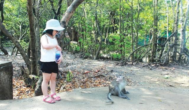 Thăm khỉ là một đặc sản khi đến Cần Giờ (Ảnh chụp trước khi có dịch Covid).