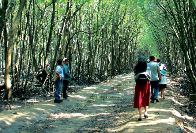 Du lịch Cần Giờ kỳ vọng sôi động trở lại.