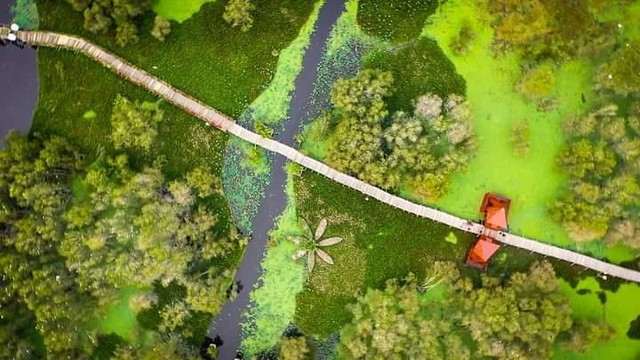 “Vương quốc” bảo tồn quần thể đa dạng sinh vật nhiệt đới ở vùng đất Tây Nam. “Vương quốc” bảo tồn quần thể đa dạng sinh vật nhiệt đới ở vùng đất Tây Nam.