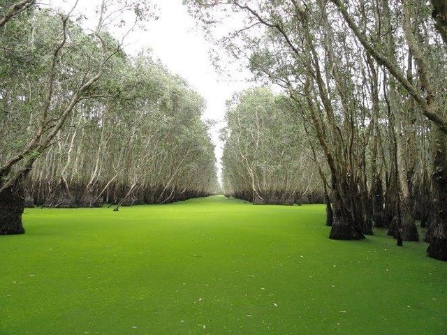 Mênh mông xanh sẵn sàng sẻ chia, trút mọi muộn phiền cùng du khách,