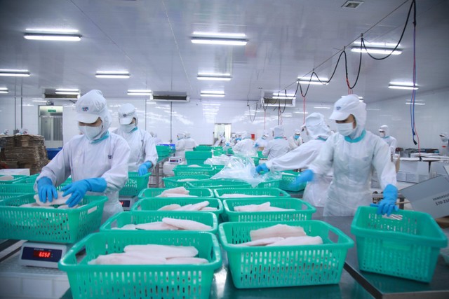 IDI có năng lực xuất khẩu quy mô lớn sang Mỹ. IDI có năng lực xuất khẩu quy mô lớn sang Mỹ.