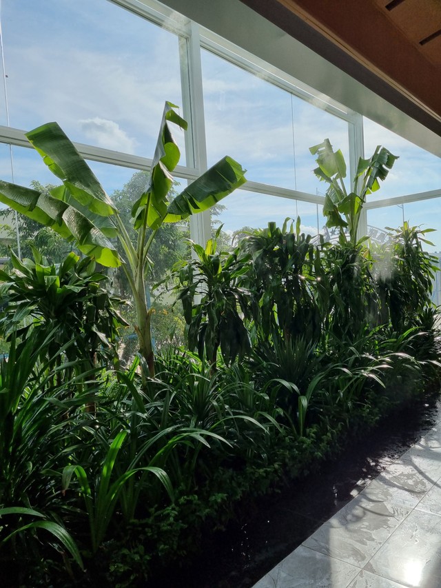 Độc lạ - mang thiên nhiên xanh vào đại sảnh.