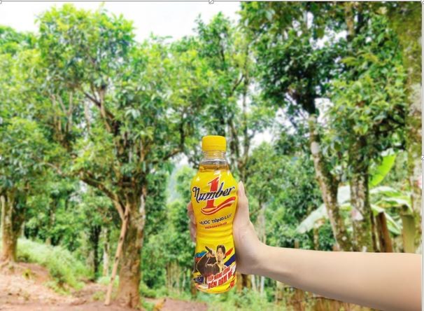 Giữa mây núi Tủa Chùa, Linh khởi đầu hành trình “liều lĩnh” mang năng lượng Việt đến từng tán chè Shan tuyết với sức mạnh và niềm tin được tiếp thêm từ Number 1. Ảnh NVCC. Giữa mây núi Tủa Chùa, Linh khởi đầu hành trình “liều lĩnh” mang năng lượng Việt đến từng tán chè Shan tuyết với sức mạnh và niềm tin được tiếp thêm từ Number 1. Ảnh NVCC.