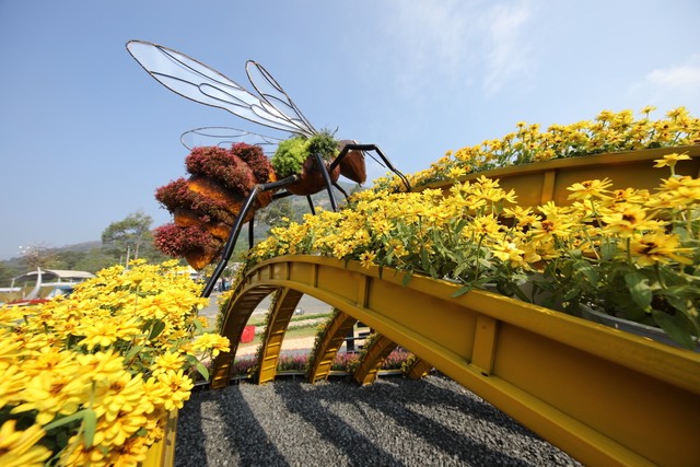 Rừng hoa tại núi Bà Đen dịp Tết này. Rừng hoa tại núi Bà Đen dịp Tết này.