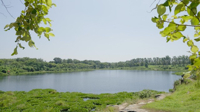 Một góc mảng xanh trong làng Đại học Quốc gia TP.HCM cạnh bên Bcons City.