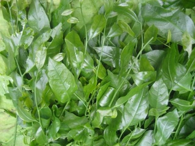 Cá trèo đồi: Đặc sản tiến vua quý hiếm đất Ninh Bình ảnh 3 Cá trèo đồi: Đặc sản tiến vua quý hiếm đất Ninh Bình ảnh 3