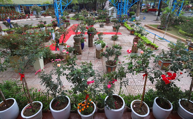 Hàng nghìn giống hoa hội tụ tại Lễ hội hoa hồng Bulgaria ảnh 1