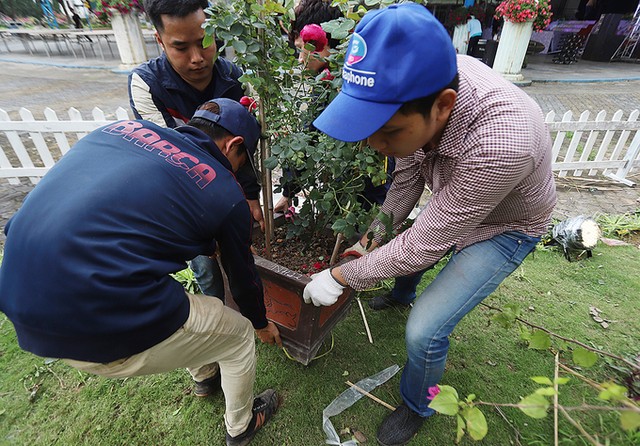 Hàng nghìn giống hoa hội tụ tại Lễ hội hoa hồng Bulgaria ảnh 3