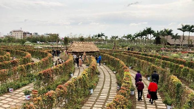 Mê cung bằng cây rộng 10.000 m2 ở ngoại thành Hà Nội ảnh 2