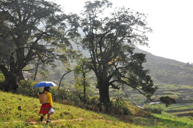 Ngôi làng trăm tuổi bị lãng quên ở Đồng Văn ảnh 10