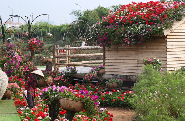 Thung lũng hoa tỏa sắc giữa Thủ đô ảnh 7