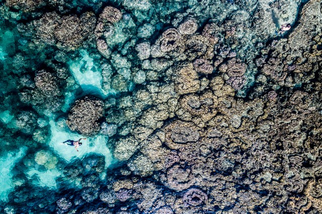 Nhiếp ảnh gia Mỹ: 'Cuộc đời tôi sang trang sau chuyến đi Việt Nam' ảnh 8