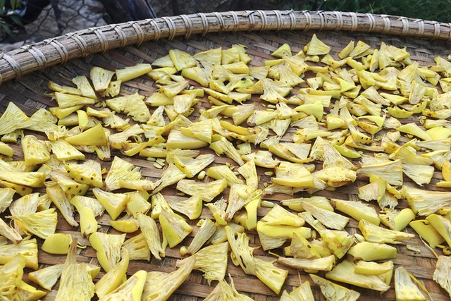 Cánh đồng sen 5 ha nở rộ giữa nắng hạn Ninh Thuận ảnh 8