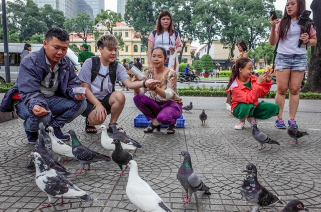 Hơn 700 con bồ câu bay lượn trước nhà thờ Đức Bà ảnh 2