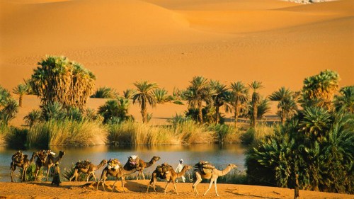 Những điều kỳ lạ từng xảy ra trên sa mạc Sahara ảnh 1 Những điều kỳ lạ từng xảy ra trên sa mạc Sahara ảnh 1