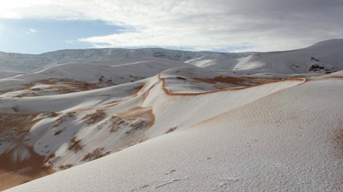 Những điều kỳ lạ từng xảy ra trên sa mạc Sahara ảnh 2 Những điều kỳ lạ từng xảy ra trên sa mạc Sahara ảnh 2