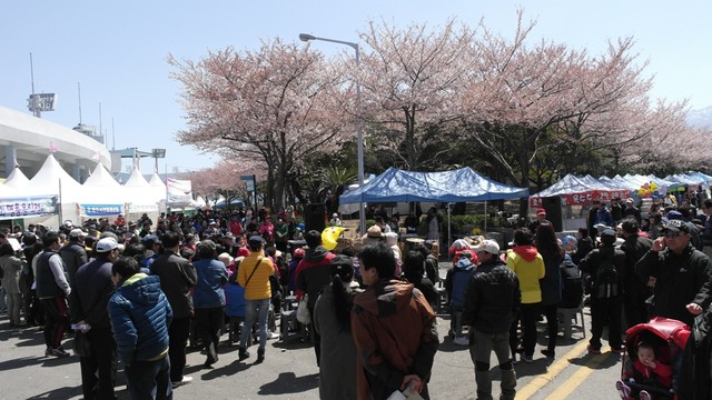 Phát triển du lịch Phú Quốc, có nên lấy một hình mẫu Jeju? ảnh 1 Phát triển du lịch Phú Quốc, có nên lấy một hình mẫu Jeju? ảnh 1