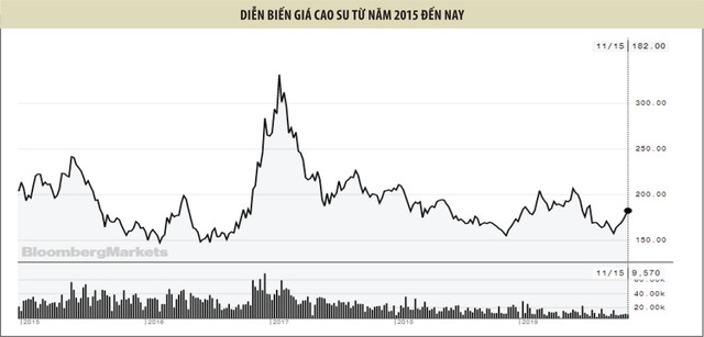 Đầu tư Cao su Đắk Lắk (DRI): Rừng cao su lớn, năng suất cao, nhưng lợi nhuận thấp ảnh 2