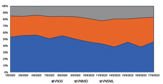 Cơ cấu dòng tiền chảy vào các nhóm cổ phiếu phân theo vốn hóa.