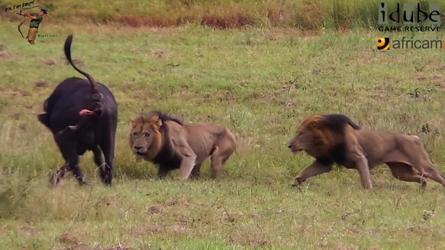 Ảnh cắt từ clip. Ảnh cắt từ clip.