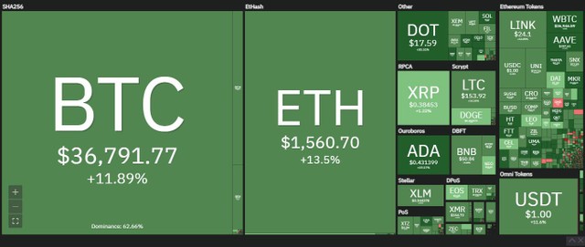 Bảng điện tử ngập tràn sắc xanh trong phiên giao dịch ngày hôm nay. Nguồn: Coin360.