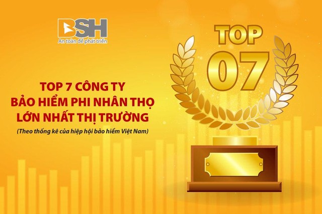 BSH giữ vững vị trí Top 7 công ty Bảo hiểm phi nhân thọ lớn nhất thị trường.
