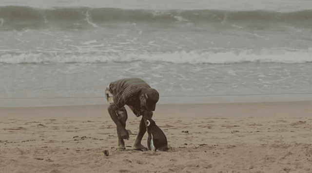 Dindim rất hay đi tắm biển cùng ông Pereira de Souza. Dindim rất hay đi tắm biển cùng ông Pereira de Souza.