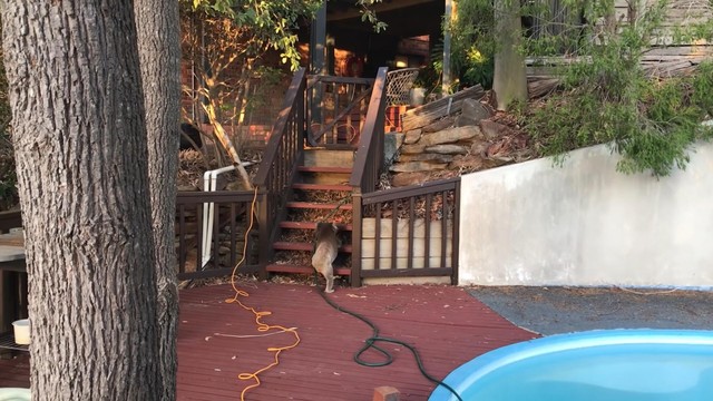 Chơi chán thì ta lại về, hôm sau ghé thăm tiếp. Chơi chán thì ta lại về, hôm sau ghé thăm tiếp.