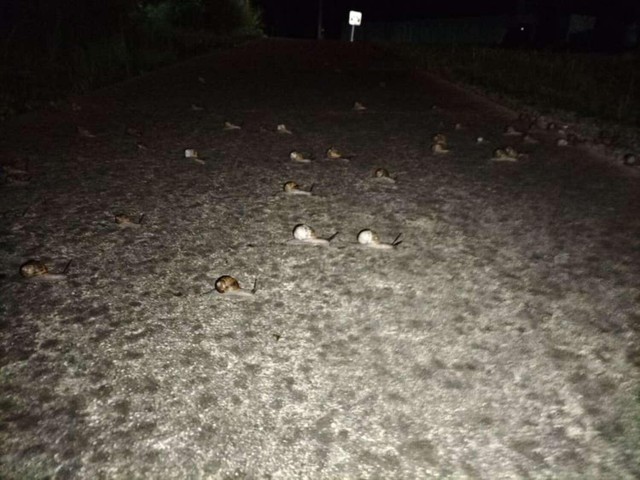 Trông có vẻ gay cấn nhưng để kết thúc cuộc đua này chắc sẽ mất rất nhiều thời gian.