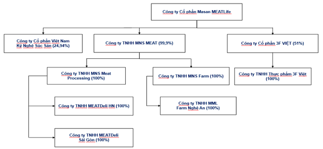 Tính đến cuối năm 2021, Masan MeatLife có 9 công ty con và công ty liên kết.