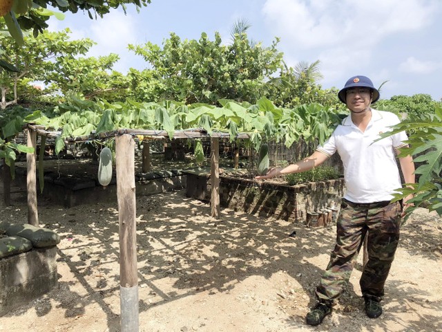 Vườn rau tại đảo Trường Sa Đông. Vườn rau tại đảo Trường Sa Đông.