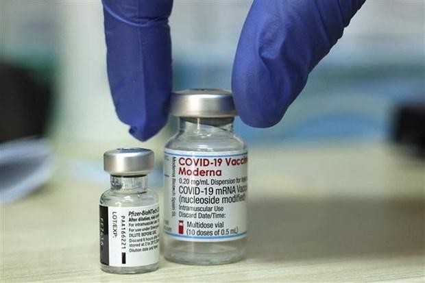 Vaccine ngừa COVID-19 của Pfizer-BioNTech và Moderna. (Ảnh: AFP/TTXVN). Vaccine ngừa COVID-19 của Pfizer-BioNTech và Moderna. (Ảnh: AFP/TTXVN).