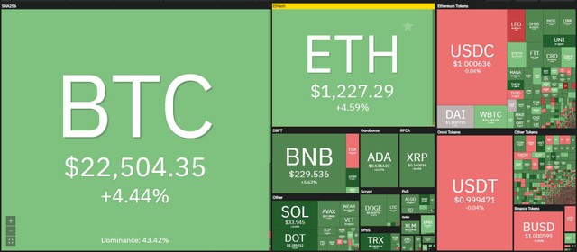 Thị trường ngập tràn sắc xanh trong phiên giao dịch ngày 16/6. Nguồn: Coin360.