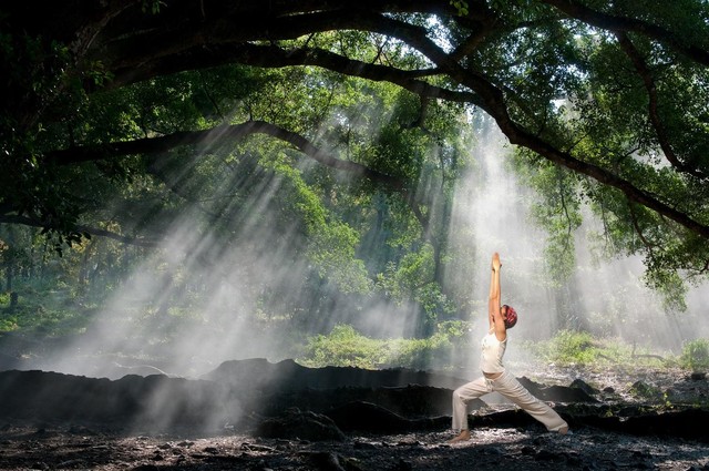 Trị liệu từ thiên nhiên mang đang trở thành xu hướng. Ảnh Shutter Stock.