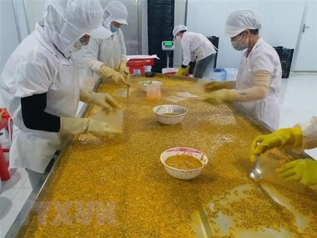 Chế biến sâu sản phẩm chanh dây xuất khẩu tại tỉnh Đắk Nông.