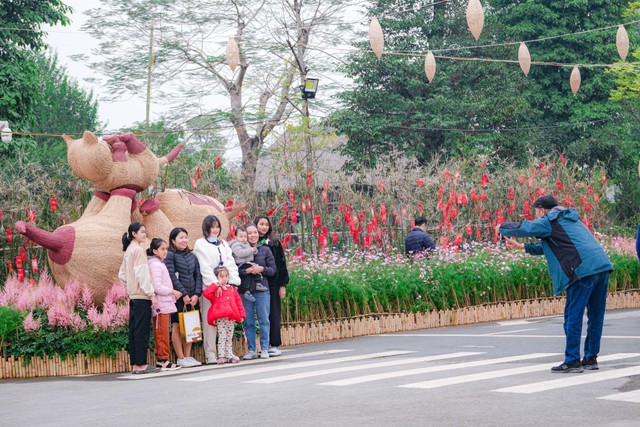 Đường hoa Home Hanoi Xuan 2023 quy tụ nhiều loại cây hoa từ các vùng miền của Việt Nam như cánh đồng lúa chín từ Đồng Tháp Mười, hoa cải vàng miền Bắc. Tất cả tạo nên bức tranh hoa rực rỡ ngày xuân và cũng là không gian “diệu kỳ” mà Home Hanoi Xuan 2023 mong muốn mang tới cho du khách. Anh Đỗ Trung Anh (33 tuổi) chia sẻ: “Dịp Tết này, một trong những địa điểm du xuân của gia đình tôi là đường hoa Home Hanoi Xuan 2023. Các bạn nhỏ nhà tôi rất thích thú khi được ngắm nhìn và chụp ảnh với nhiều cây hoa với đủ loại sắc màu. Đặc biệt, điều khiến tôi ấn tượng là đường hoa Home Hanoi Xuan 2023 còn có những loại cây hiếm có ở miền Bắc thời điểm này”.