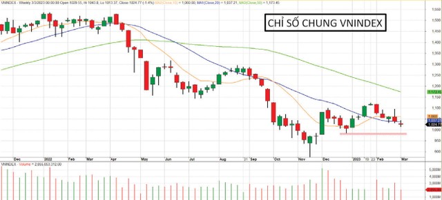 Diễn biến VN-Index từ tháng 11/2021 đến nay.
